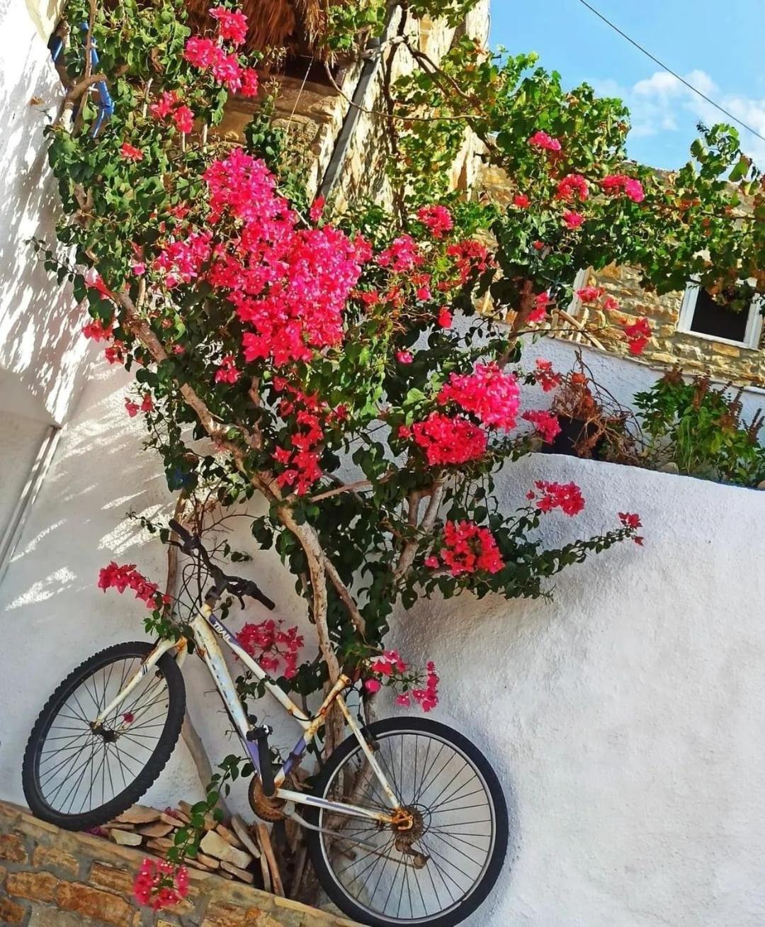 4 Seasons Suites Paradise Near Athens Airport Markópoulon Zewnętrze zdjęcie