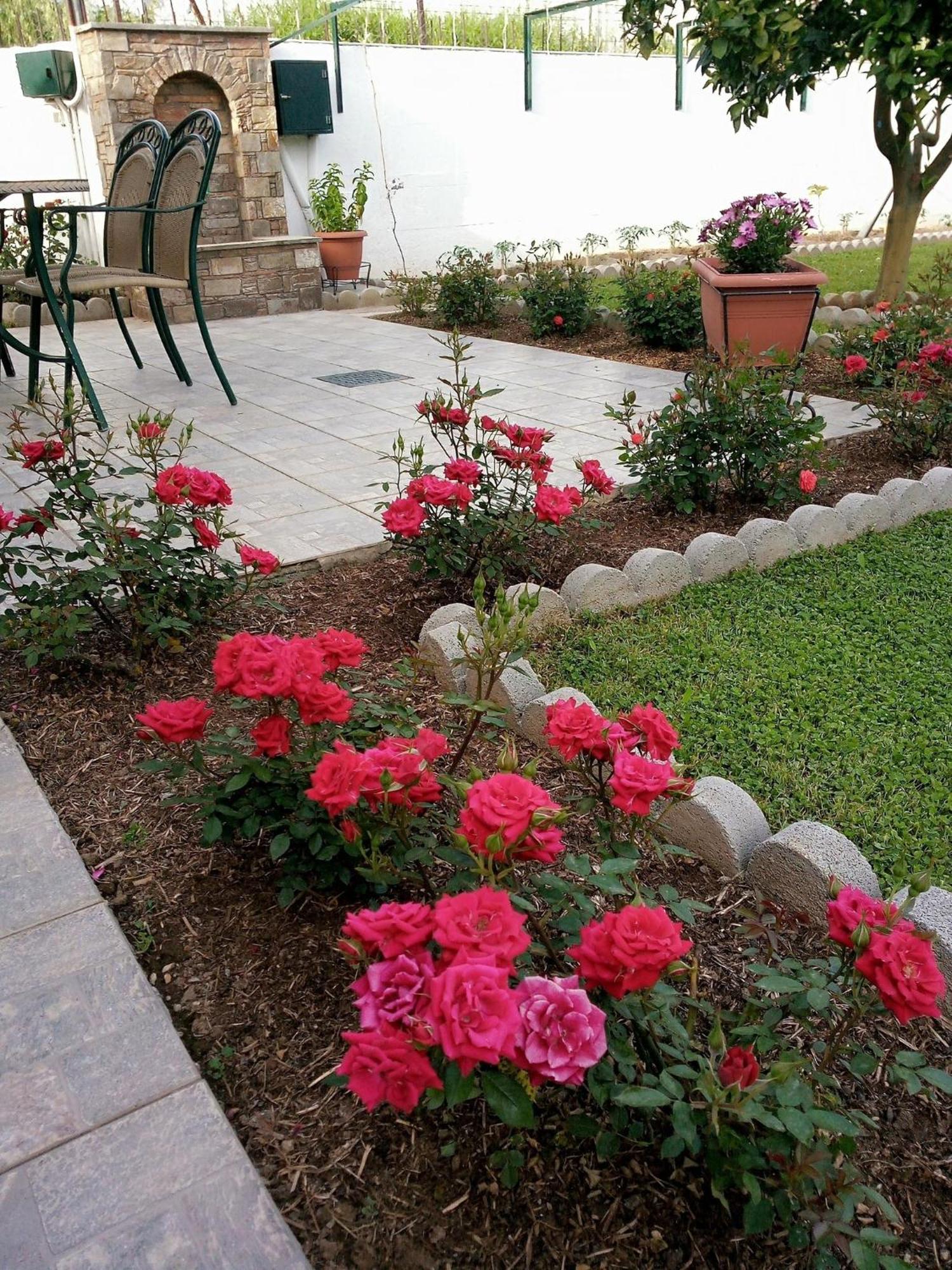 4 Seasons Suites Paradise Near Athens Airport Markópoulon Zewnętrze zdjęcie