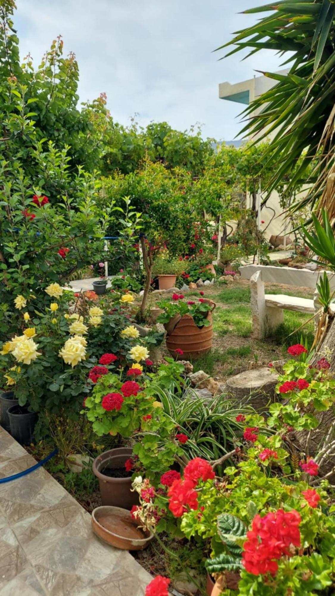 4 Seasons Suites Paradise Near Athens Airport Markópoulon Zewnętrze zdjęcie